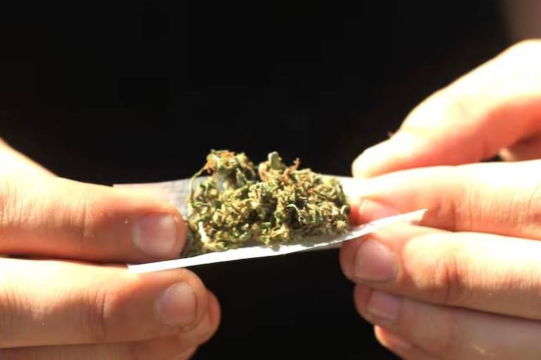 Prevalecen la mariguana y el ‘cristal’ como las drogas que más se consumen en Mazatlán: CIJ