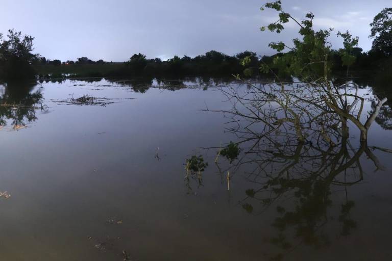 Crecida del Río Presidio alerta a vecinos de El Walamo, al sur de Mazatlán