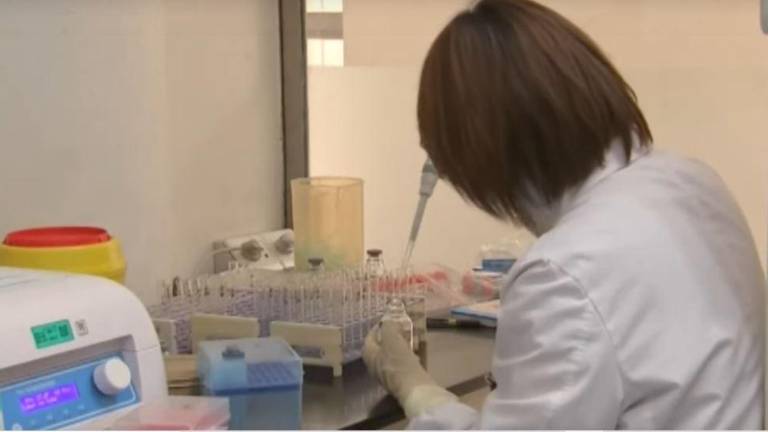 En México hay seis proyectos encabezados por universidades que sortean con bajo presupuesto este arduo camino, de los cuales solo tres podrían dar vacunas a fin de año