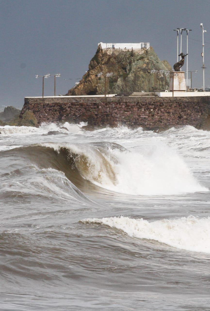 $!Árboles y palmeras caen en Mazatlán por Huracán Pamela; los remueven de las vialidades