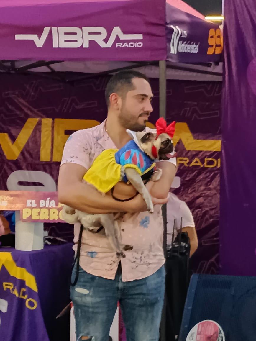 $!Participan ‘lomitos’ disfrazados en concurso y desfile de modas, en Mazatlán