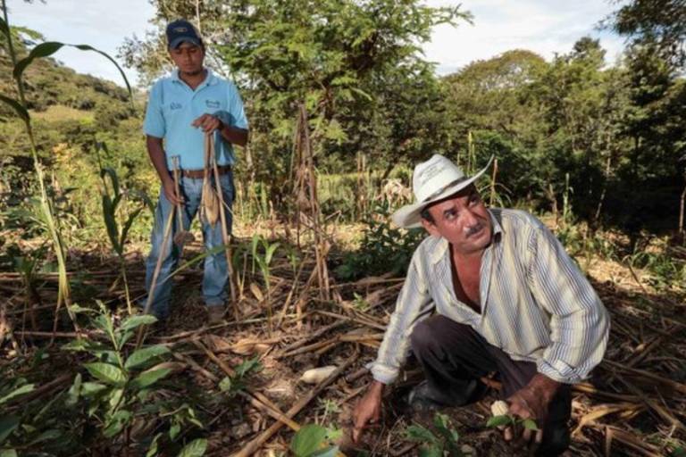 Resalta Sader la importancia de los suelos en la producción de alimentos saludables