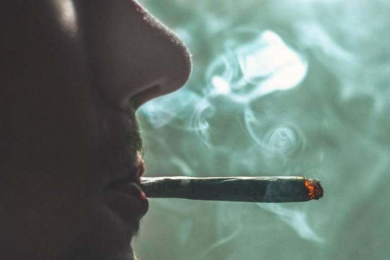 Aumentó un 23% el número de consumidores de drogas en una década: UNODC