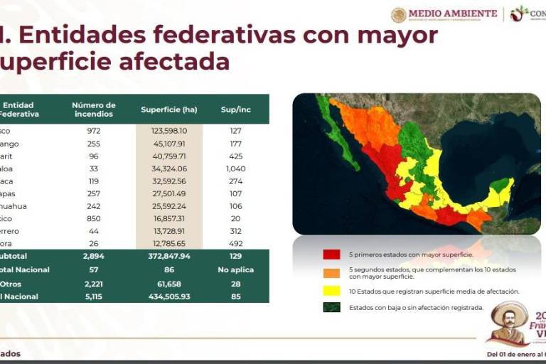 Sinaloa es el cuarto estado más afectado por incendios forestales