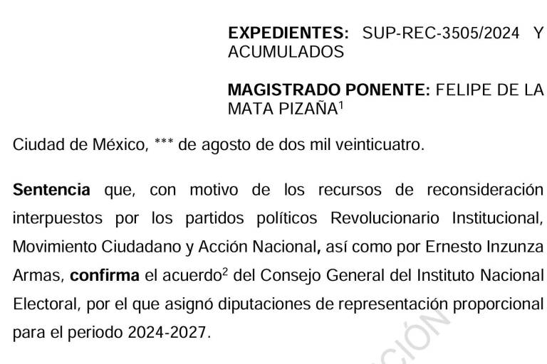 Magistrado del TEPJF propone confirmar mayoría calificada para la ‘4T’ en la Cámara de Diputados