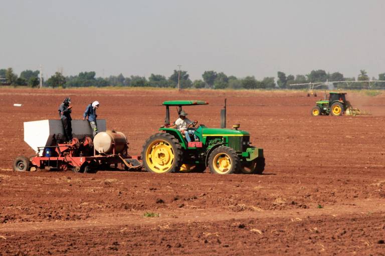 Sin aumentos de presupuesto reales para el campo en los Pre-Criterios 2022 de la SHCP