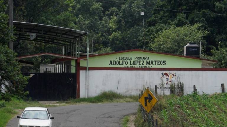 Escuela Adolfo López Mateos, ubicada en una zona boscosa del municipio de Tlalnelhuayocan.