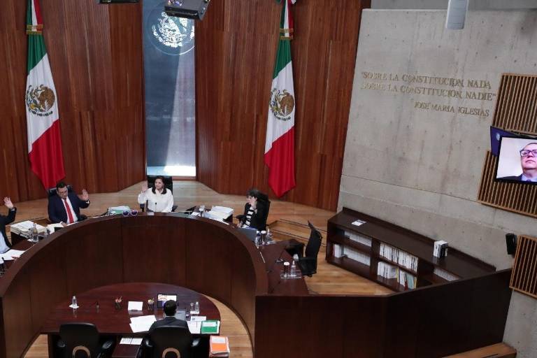 Tribunal Electoral confirma que no suspenderá mañaneras de AMLO