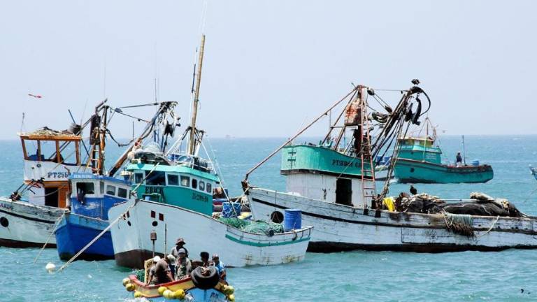 Los pescadores artesanales de la costa peruana se han adaptado a la tecnología para garantizar la sostenibilidad de los recursos marinos.
