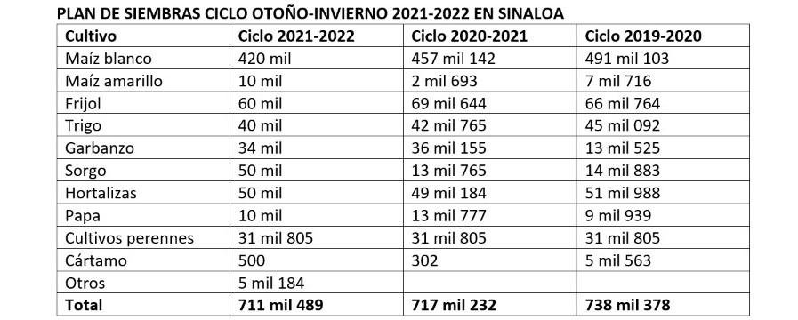 $!Prevén sembrar 711 mil hectáreas en Sinaloa, 59% de maíz blanco