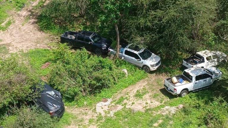 Por tierra y aire, elementos de la Semar y SSPC realizaron un operativo en el municipio de Cosalá.