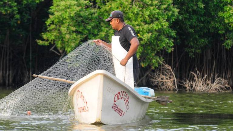 Laguna El Arrastradero, frente al Golfo de México, donde los pescadores perjudicados por los derrames de petróleo aguardan por los beneficios a mediano plazo que les darán las tilapias sembradas el 12 de diciembre último.