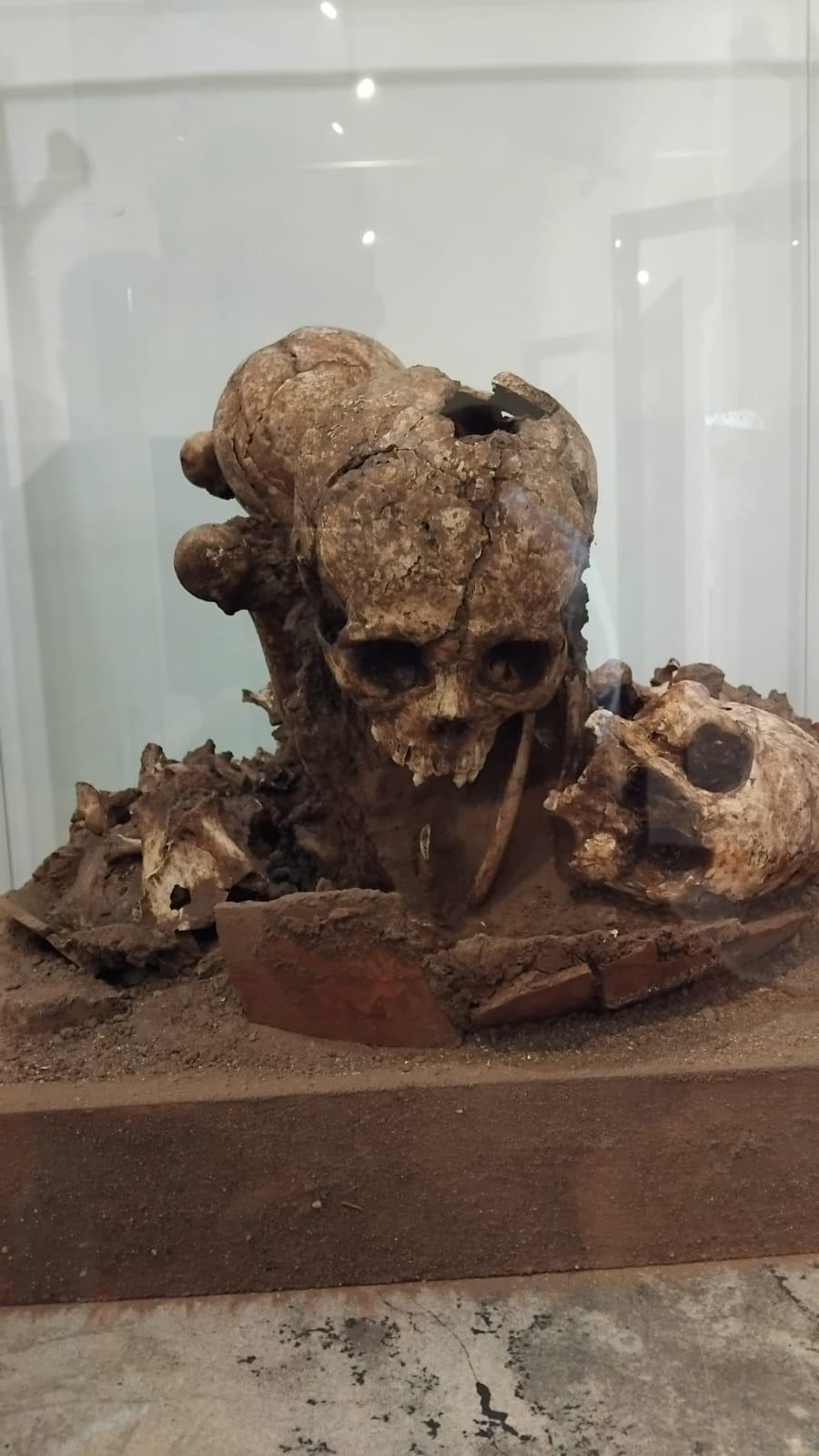 $!Buscan fortalecer al Museo Arqueológico de Mazatlán con un nuevo patronato
