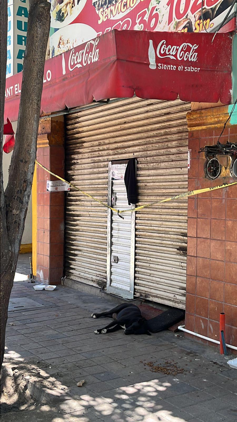 $!Perrito espera a su dueño afuera de local baleado en el Centro de Culiacán