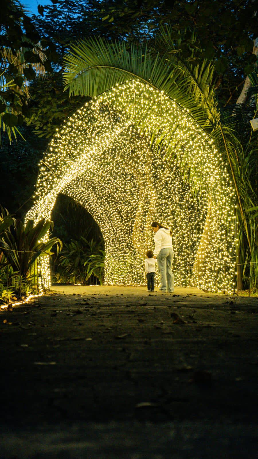 $!Más de 82 mil acuden a la Navidad en el Botánico