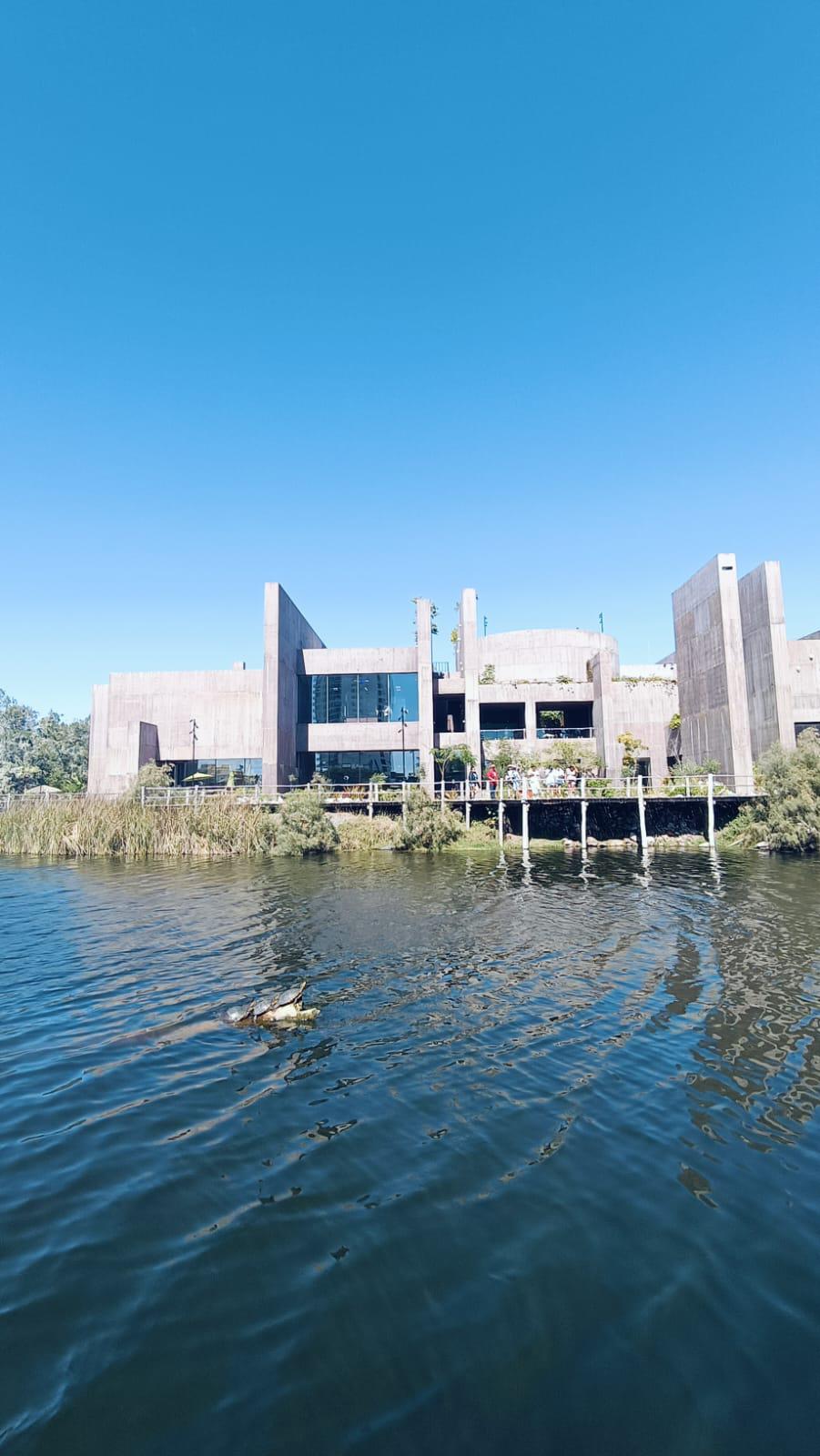 $!Gran Acuario Mazatlán contribuye a la conservación de las especies