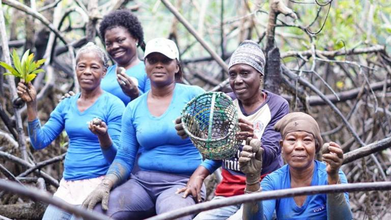 Autores y líderes afrodescendientes advierten que el reconocimiento legal del territorio a las poblaciones es clave para la conservación.