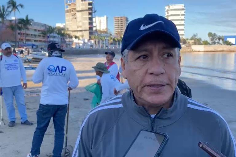 Buscan reinstalar Comité del Protocolo de Varamiento para prevenir casos como el del lobo marino