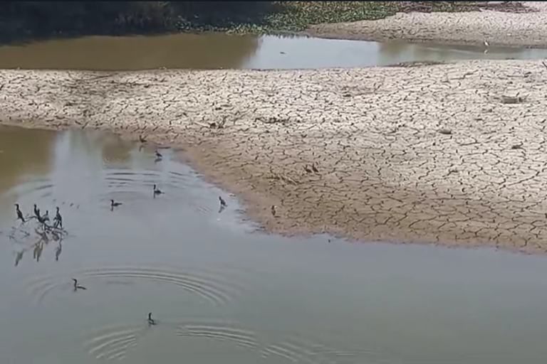 Bajar a la zona del río está prohibido, advierte Protección Civil Culiacán