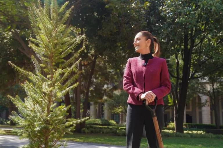 Sheinbaum desea feliz año 2025 a todos los mexicanos
