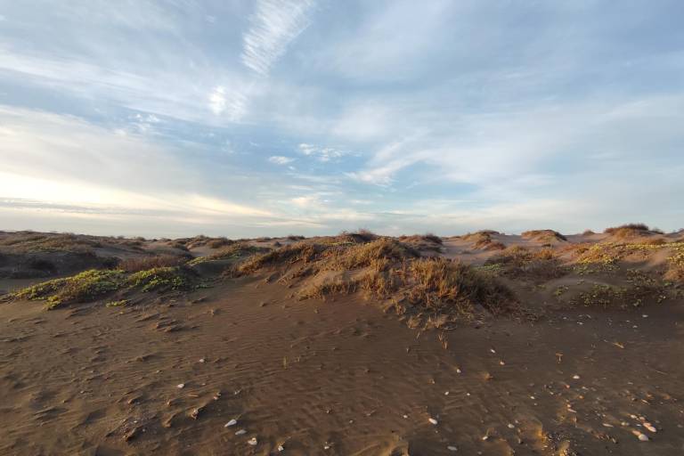 Necesitamos conservar las dunas si queremos mantener la calidad de vida en La Paz, BCS: investigadora de Cemda Noroeste