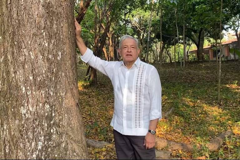 AMLO propondrá a Biden extender Sembrando Vida a Centroamérica para frenar el flujo migratorio