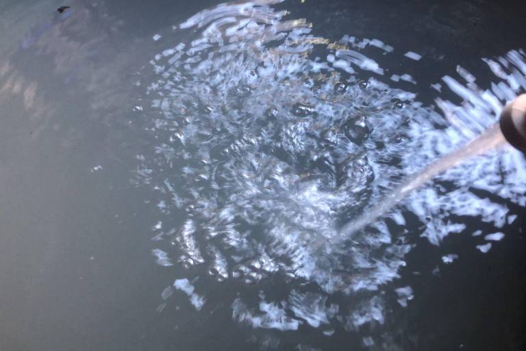 Aunque el agua sale turbia en Mazatlán, no representa peligro, afirma Jumapam