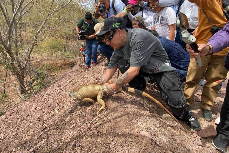 Rescata santuario Ostok a más de mil 800 animales del tráfico, violencia y del abandono