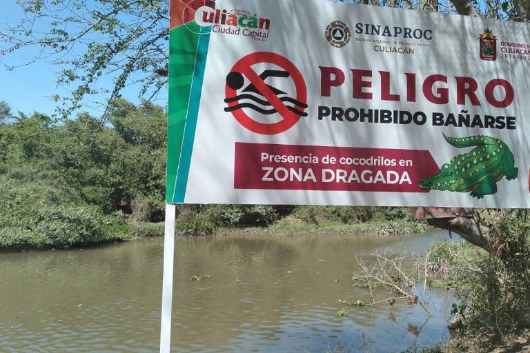 Gobierno de Culiacán alerta presencia de cocodrilos en Tepuchito