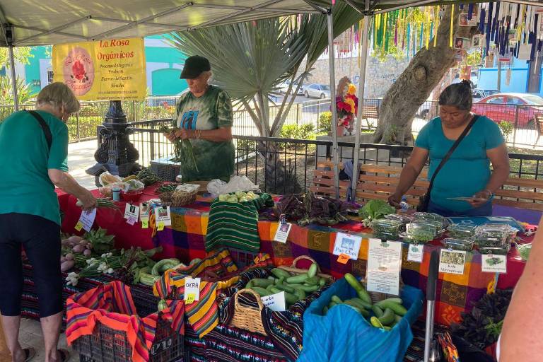 Regresa el Mercado Orgánico a la Plazuela Zaragoza