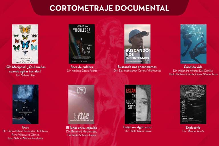 Este miércoles darán a conocer los nominados al Premio Ariel