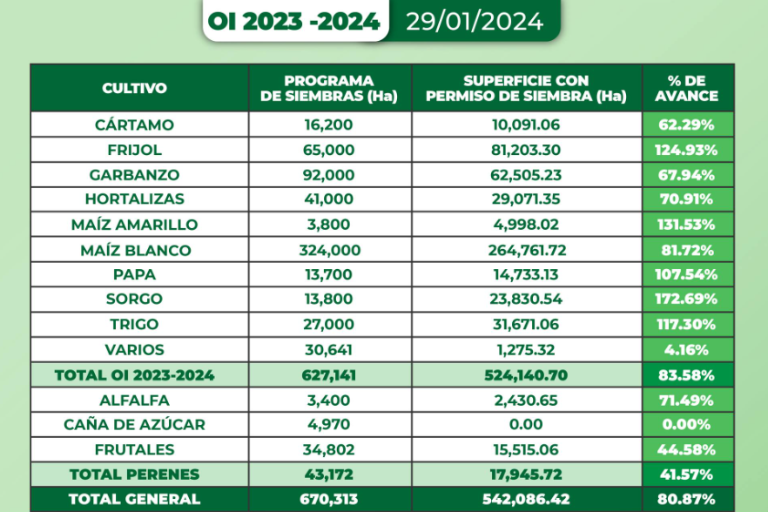 Cierra enero con 583 mil hectáreas sembradas en Sinaloa de 670 mil programadas: Cesavesin
