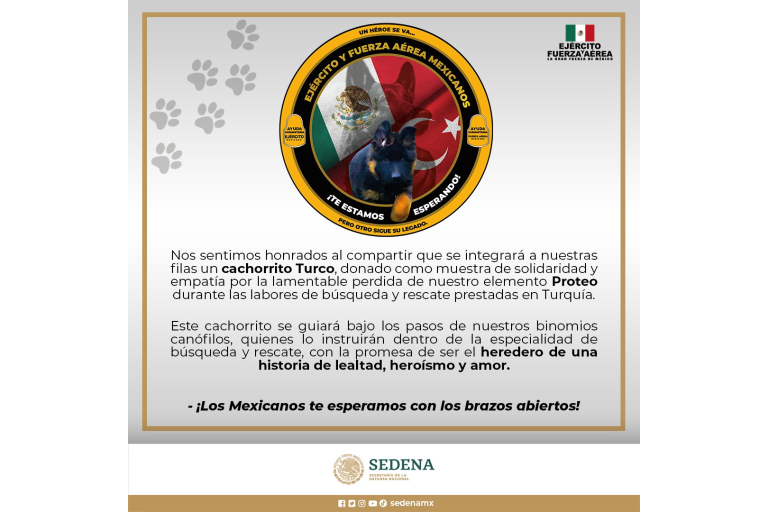 Perrito turco se unirá a binomios caninos de Sedena en homenaje a Proteo