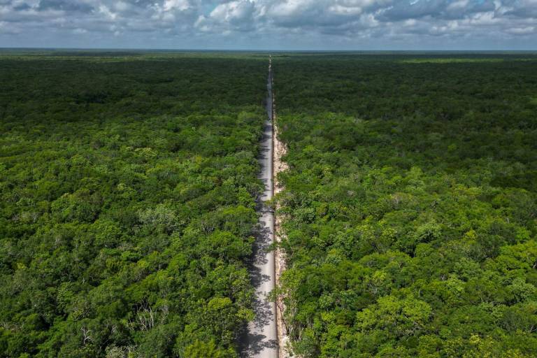 Gobierno mexicano oculta a Unesco la construcción del proyecto del Ejército en la Reserva de la Biosfera de Sian Ka’an