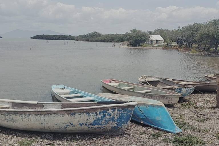 Ven pescadores en El Huizache-Caimanero un 40 por ciento de volumen de producción