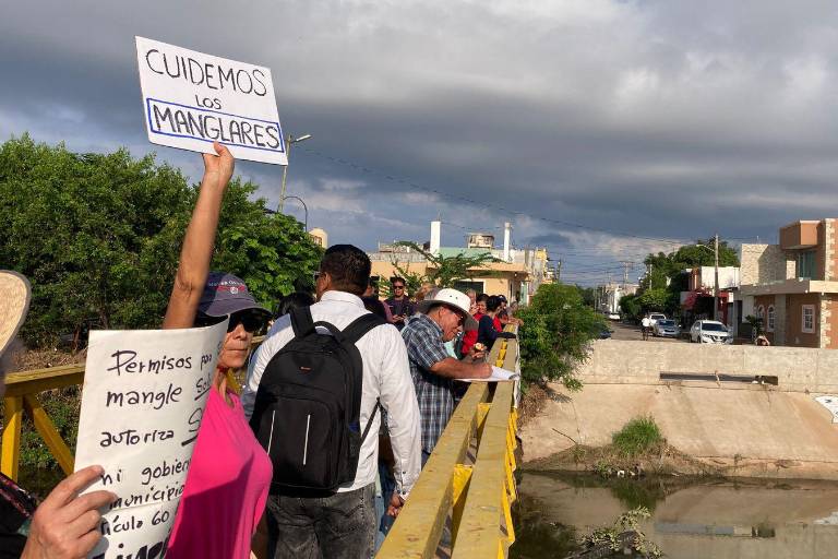 Protestan contra poda de mangle en Mazatlán; vecinos defienden medidas
