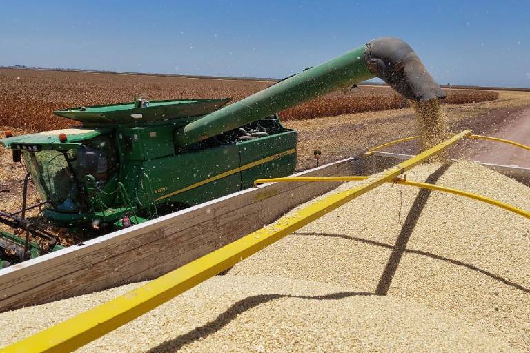 Precio del maíz, al alza de nuevo; alcanza casi los $6,100