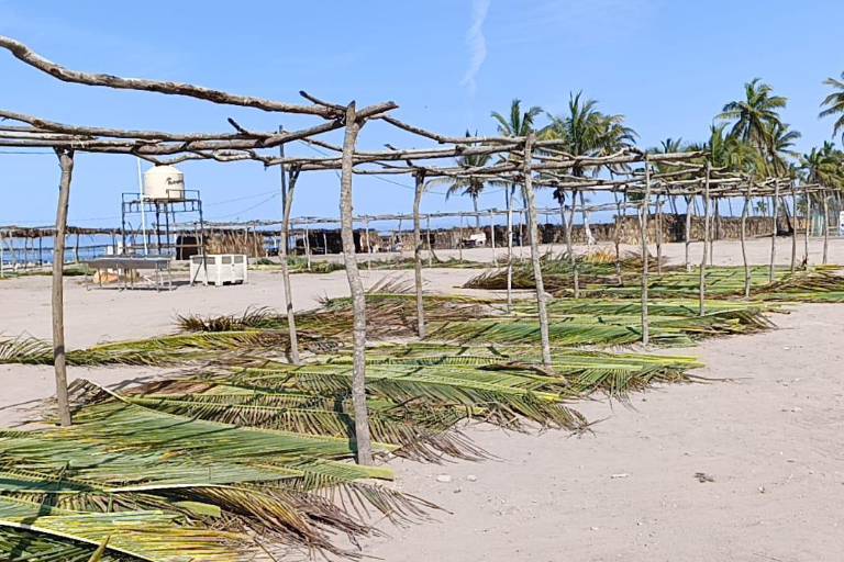 Vence plazo para pago de enramadas en Las Cabras, en Escuinapa