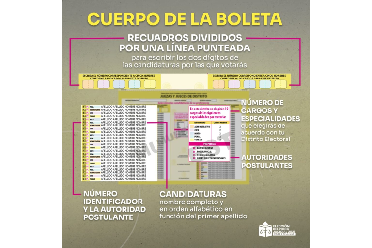 ¿Qué hacen las y los jueces según su especialidad (civil, penal, mercantil)?