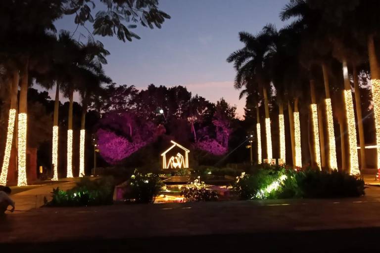 Regresan las noches más brillantes del año, en la Navidad en el Jardín Botánico