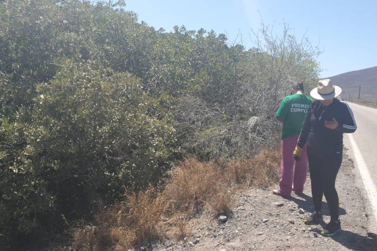 Encuentran osamenta entre mangles de El Maviri