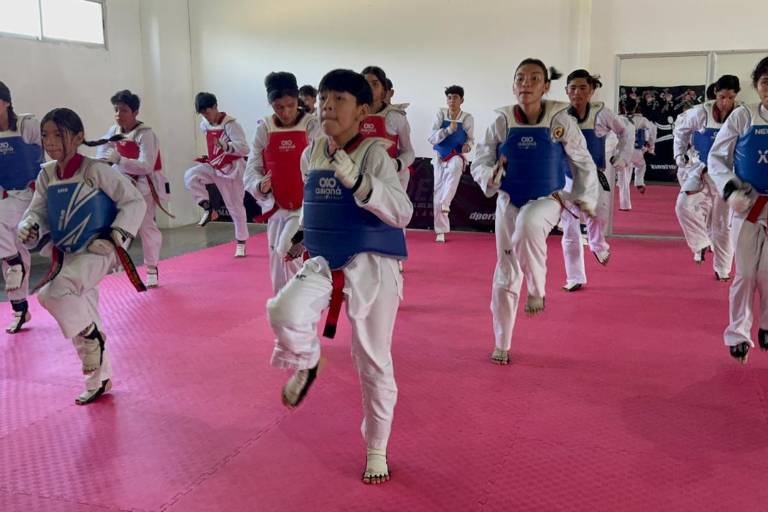 Trazan estrategia para elevar la calidad del taekwondo mazatleco