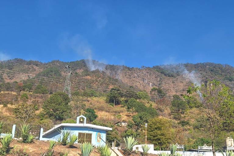 Sinaloa tiene cinco incendios forestales activos: Conafor