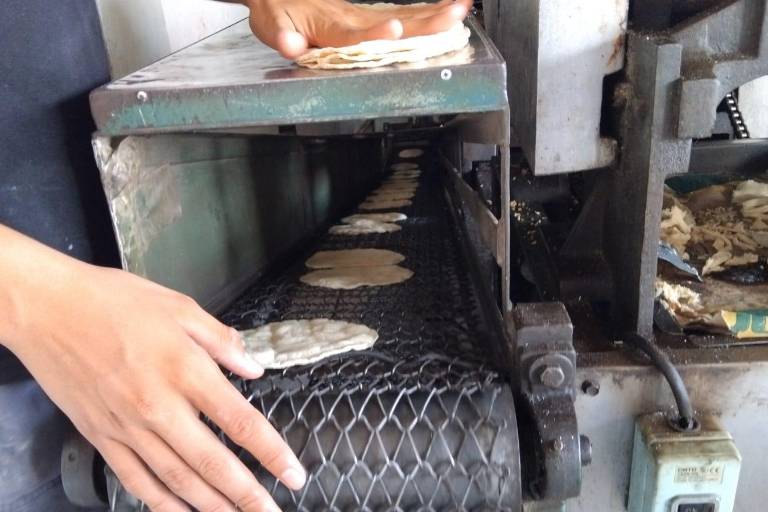 Ven tortilleros de Mazatlán viable bajar precio con apoyo integral del gobierno