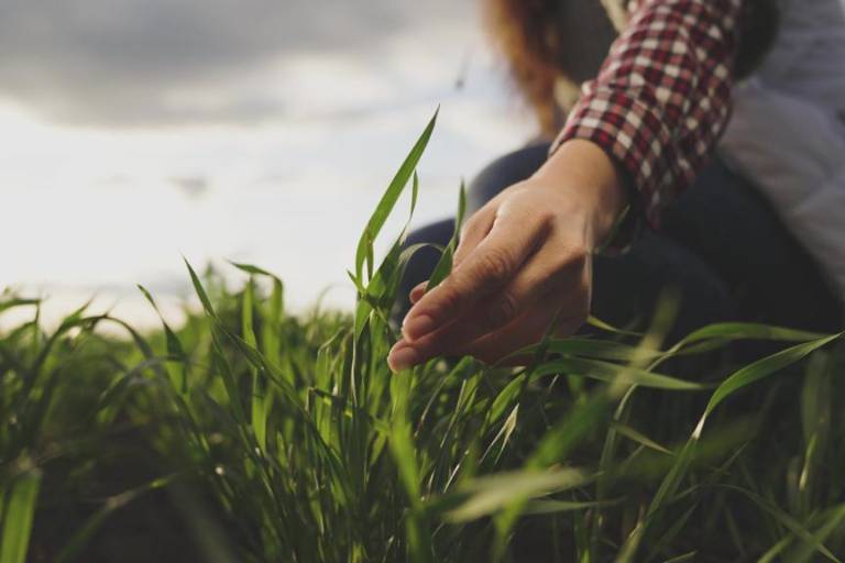 Incremento planteado a agricultura en Paquete Económico 2026 es insuficiente: Unidad Campesina