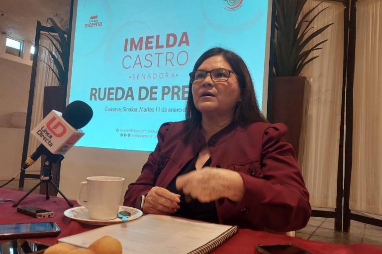 Ricardo Monreal es un ‘dolor de cabeza’ para senadores de Morena, afirma Imelda Castro
