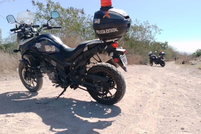 Halla perro mano cercenada en Isla Musala, en Culiacán
