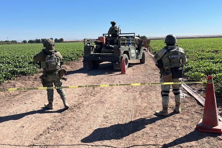 Asesinan a jornalero en un campo de frijol, entre los límites de Culiacán y Navolato
