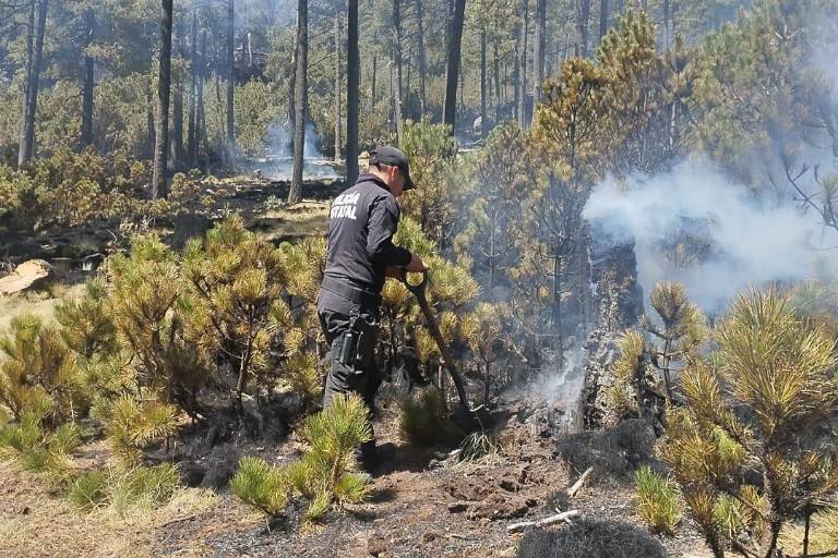 Cierran ingreso al Nevado de Toluca debido a un incendio forestal y mal clima