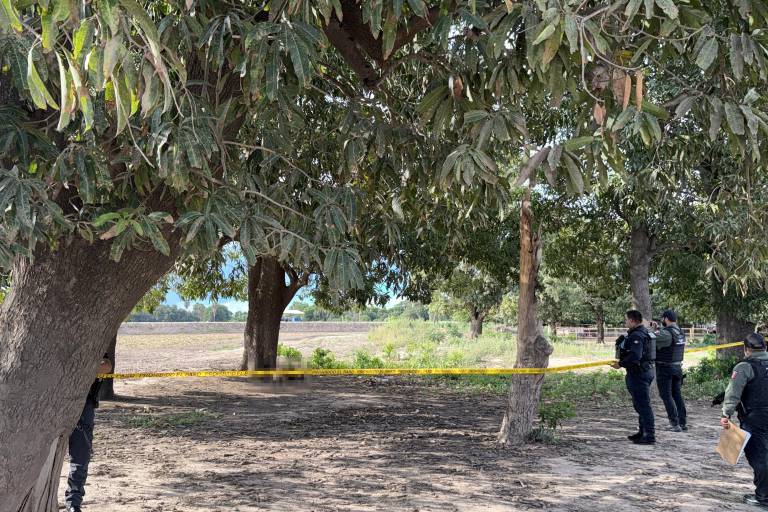Asesinan a un joven a balazos en la comunidad Lo de Reyes, en Navolato